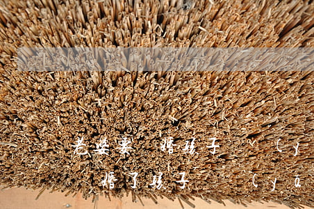 老婆要離婚孩子撫養(yǎng)費怎么算(離婚了孩子撫養(yǎng)費怎么算撫養(yǎng)多久)