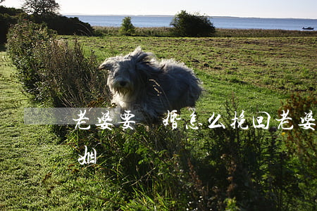 老婆要離婚怎么挽回(老婆要離婚怎么挽回婚姻)