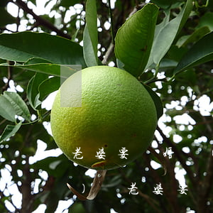 老婆要離婚態(tài)度很堅(jiān)決(老婆要離婚態(tài)度很堅(jiān)決我應(yīng)該放著不管還是同意離婚)