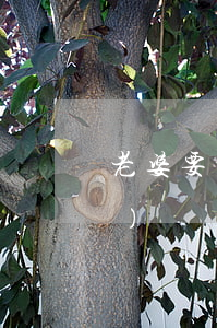 老婆要離婚態(tài)度很堅(jiān)決該怎么挽回(老婆要離婚態(tài)度很堅(jiān)決該怎么挽回,怎么道歉)