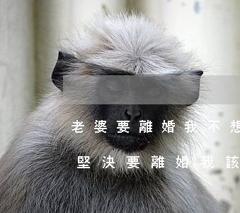 老婆要離婚 我不想離怎么辦(我不想離婚,老婆堅決要離婚,我該怎么辦?)