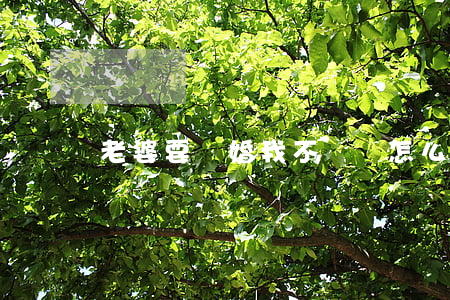 老婆要離婚我不離該怎么辦