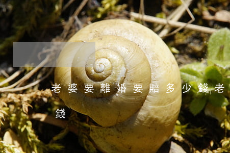 老婆要離婚要賠多少錢(老婆要離婚要賠多少錢)