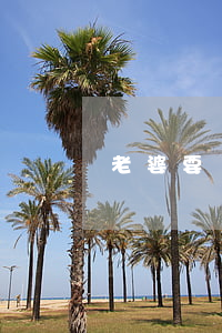 老婆要離婚誰勸都沒用
