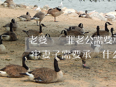 老婆詐騙罪老公需要承擔賠償嗎(老公詐騙坐牢,妻子需要承擔什么)