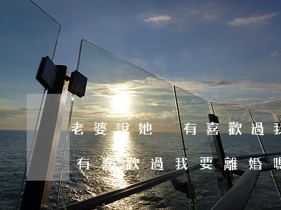 老婆說她沒有喜歡過我要離婚嗎(老婆說她沒有喜歡過我要離婚嗎)
