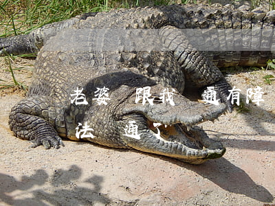 老婆說跟我溝通有障礙要離婚(老婆說跟我無法溝通了)
