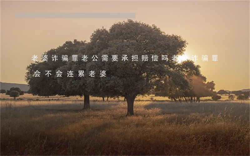 老婆诈骗罪老公需要承担赔偿吗(老公诈骗罪会不会连累老婆)