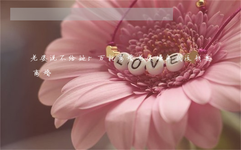 老婆说不给她5万就离婚(老婆嫌弃我没钱要离婚)