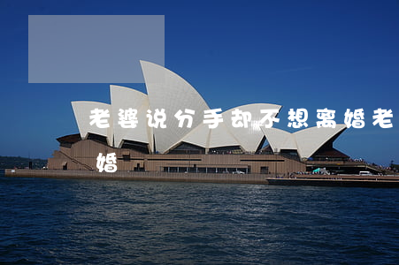 老婆说分手却不想离婚(老婆说我不爱她要离婚)