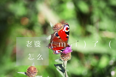 老婆買(mǎi)了車(chē)我要離婚怎么辦