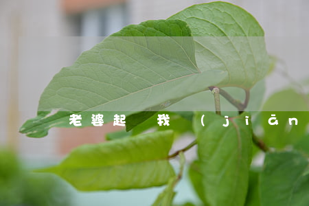 老婆起訴我堅(jiān)決不想離婚怎么辦
