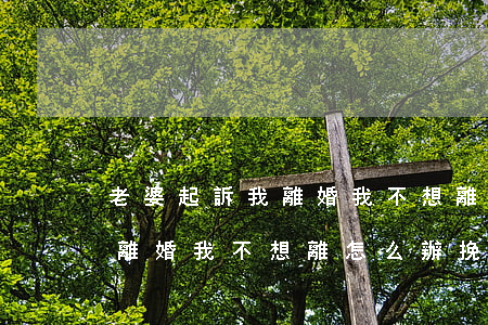老婆起訴我離婚我不想離怎么辦(老婆起訴我離婚我不想離怎么辦挽回)