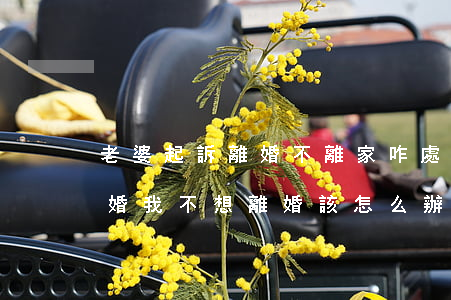 老婆起訴離婚不離家咋處理(老婆法院起訴離婚我不想離婚該怎么辦)