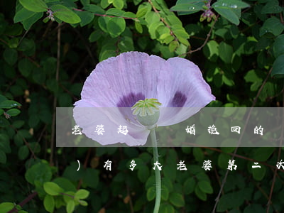 老婆起訴離婚挽回的機(jī)會(huì)有多大(老婆第二次起訴離婚怎么拖延)