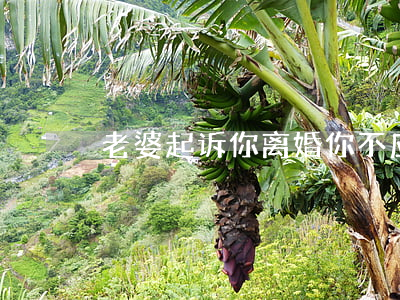 老婆起诉你离婚你不应诉怎么办