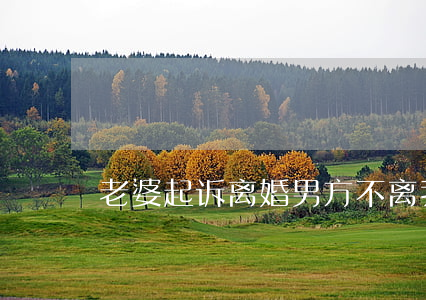 老婆起诉离婚男方不离我该怎么办