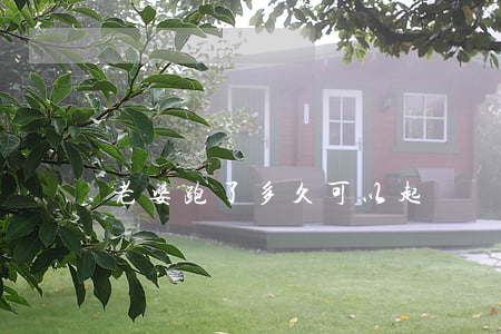 老婆跑了多久可以起訴離婚