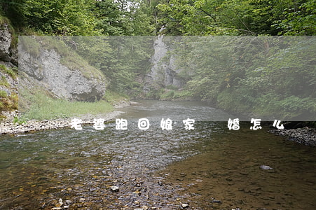 老婆跑回娘家離婚怎么辦