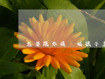 老婆跟你提離婚孩子怎么辦