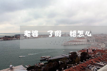 老婆辦了假離婚怎么辦