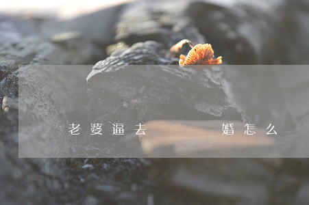 老婆逼去訴訟離婚怎么辦