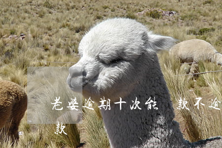 老婆逾期十次能貸款不(逾期20多次可以貸款嗎)