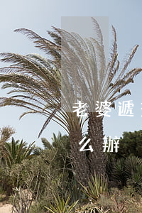 老婆遞交訴狀堅(jiān)決離婚我該怎么辦