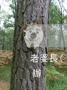 老婆長(zhǎng)期不回家不離婚怎么辦