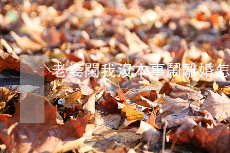 老婆閑我沒本事鬧離婚怎么辦