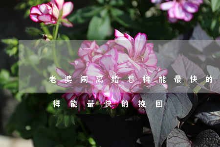 老婆闹离婚怎样能最快的挽回(老婆闹离婚怎样能最快的挽回)