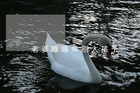老婆離婚帶別人孩子