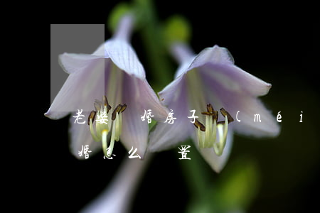老婆離婚房子沒(méi)供完(供著的房 離婚怎么處置)