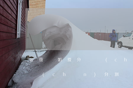 老婆離婚要分財產(chǎn)嗎(離婚要財產(chǎn)分割嗎)