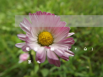 老婆離婚負(fù)債150萬(wàn)怎么辦
