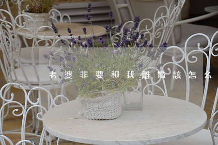 老婆非要和我離婚該怎么辦