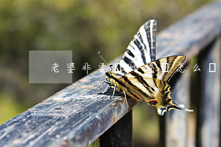 老婆非要離婚我該怎么辦