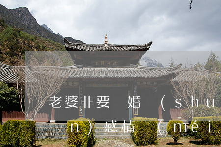 老婆非要離婚說(shuō)我一點(diǎn)感情沒(méi)有(老婆堅(jiān)決要和我離婚說(shuō)對(duì)我沒(méi)感情了)