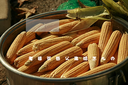 老婆骂岳父离婚怎么办