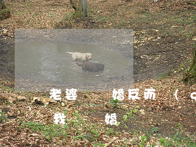 老婆鬧離婚反而關(guān)心我(老婆和我鬧離婚)
