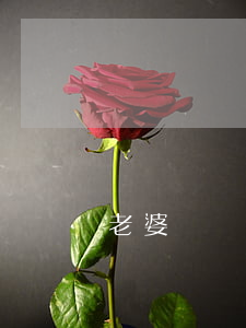 老婆鬧離婚要搬出去怎么辦