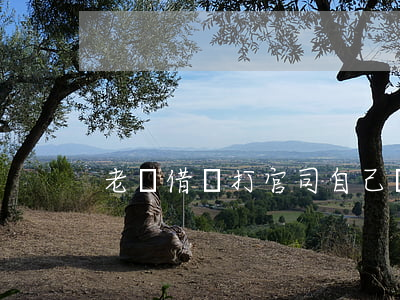 老媽借錢打官司(自己媽媽借錢怎么開口要)