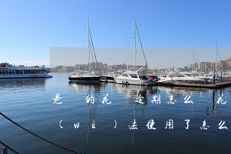 老媽的花唄逾期怎么辦(花唄顯示逾期,花唄無(wú)法使用了,怎么還款)