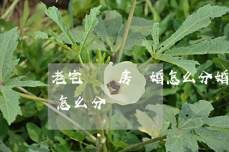 老宅換樓房離婚怎么分(婚后搬遷房子離婚該怎么分)