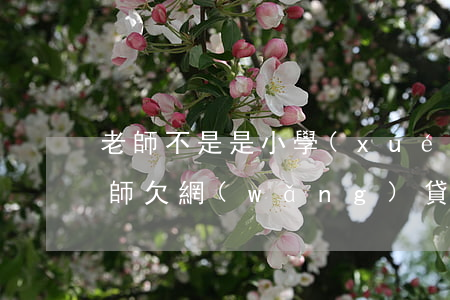 老師不是是 小學(xué)語(yǔ)文老師欠網(wǎng)貸-語(yǔ)文老師不是班主任