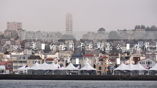 老師的信用卡逾期怎么辦(信用卡逾期發(fā)了律師函怎么辦)