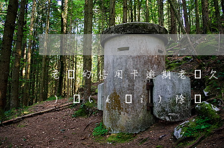 老師的信用卡逾期(老師欠信用卡會(huì)開(kāi)除嗎)