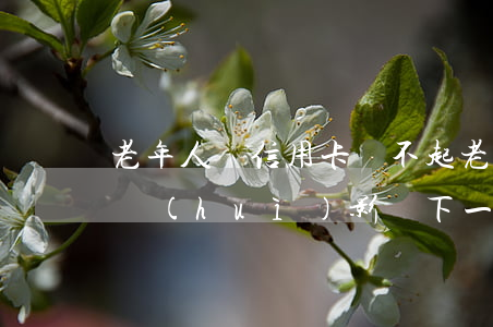 老年人辦信用卡還不起(老人用信用卡逾期了會(huì)影響下一代嗎)