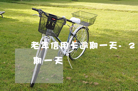老年信用卡逾期一天-2020年信用卡逾期一天