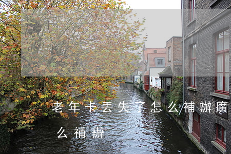 老年卡丟失了怎么補辦(廣州老年卡丟失了怎么補辦)